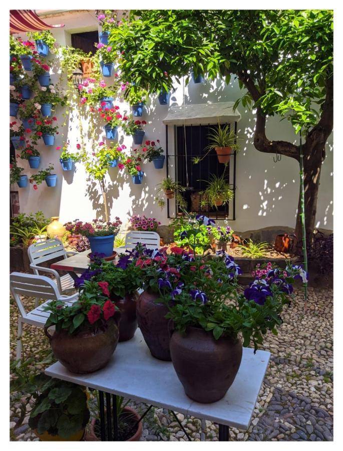 Casa Rural "Laplaza23" Herrera del Duque Екстер'єр фото