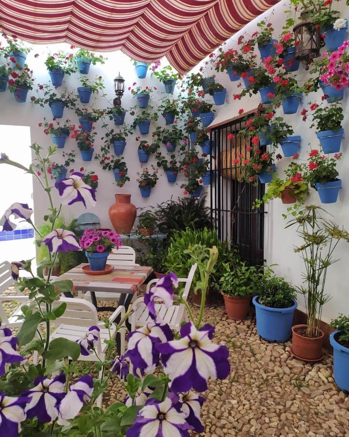 Casa Rural "Laplaza23" Herrera del Duque Екстер'єр фото